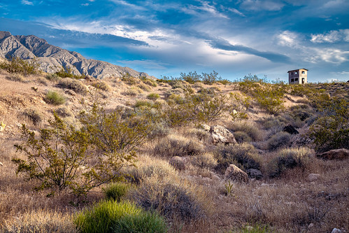 solemn d850 landscape desert bushes brush serious quiet clouds colorful arizona creepy sky scary shack forgotten abandoned mountain littlefield unitedstatesofamerica