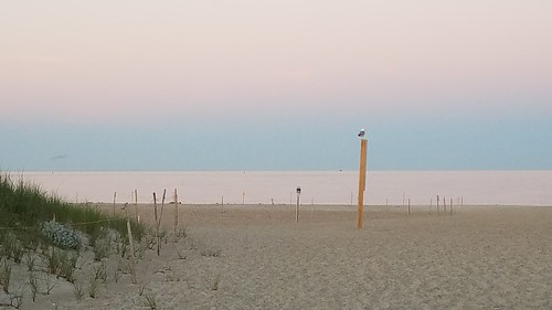 beach plage strand nantucketsound atlantic sand sable summer june sunrise saltwater hyannis barnstable massachusetts capecod