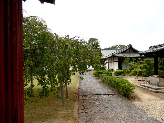 Nara - Le jardin d'un temple à Nara (2)