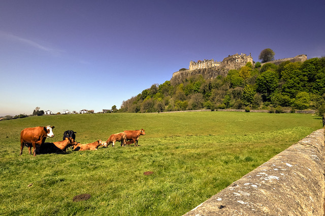View of Stirling Castle, Stirling, Scotland, Uk