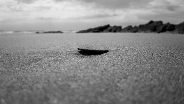 Stone on the Beach