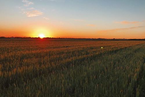 zonsondergang sonnenuntergang sunset zonnewende solstice midsummer midzomer landschap landschaft landscape rnifilms