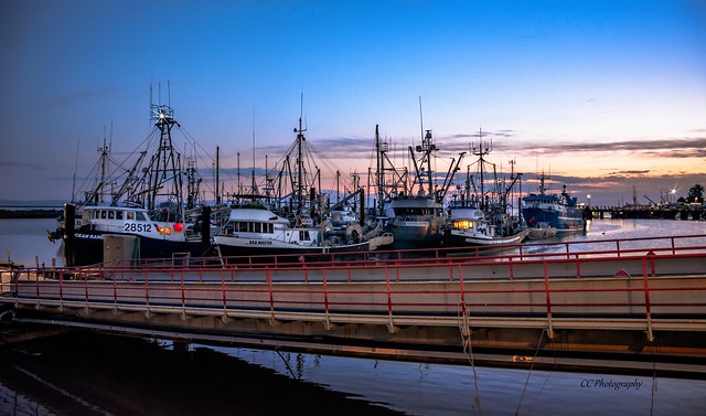 Steveston's Fishing Fleet - Canada's Largest Fishing Harbour