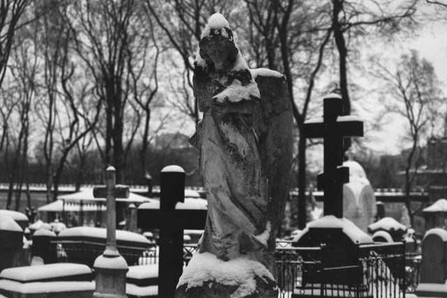 Winter. The necropolis of the Donskoy Monastery.