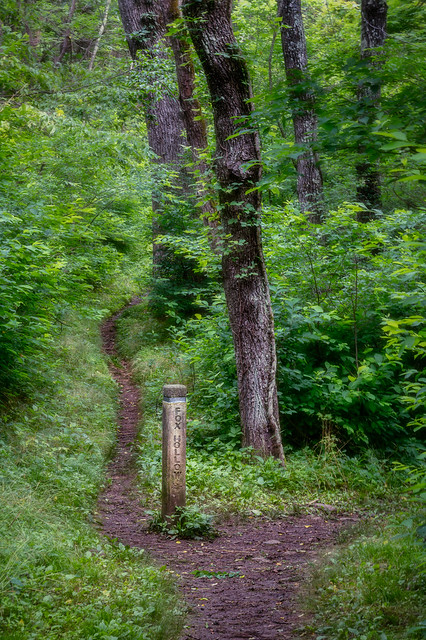 Fork in the trail.