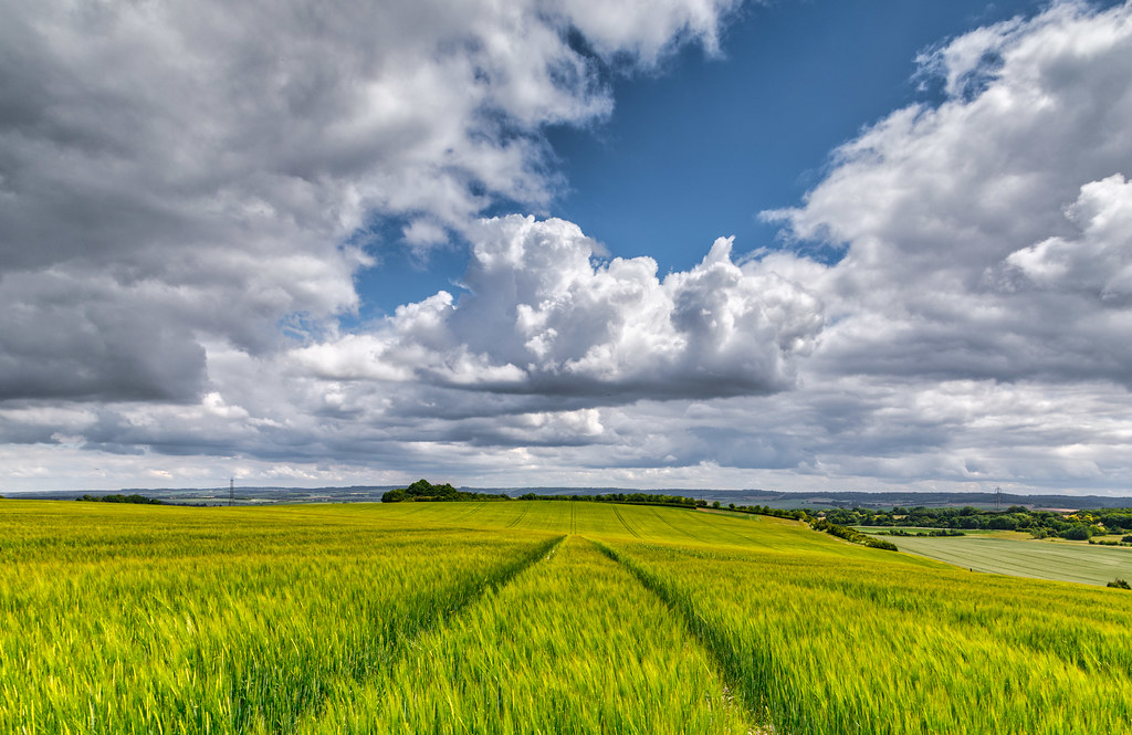 Crops and Clouds