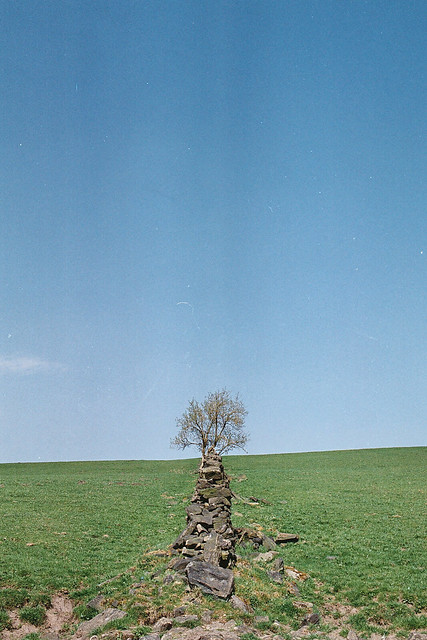 wall and tree and sky