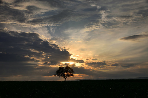 nikon d3300 sigma contemporary 18200dcoshsmc ciel cloud sky nature nuages coucherdesoleil sunset paysage landscape arbre tree