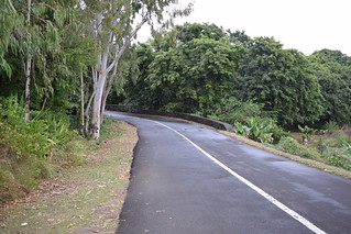Road Bridge (Road to Prince Maurice Hotel)