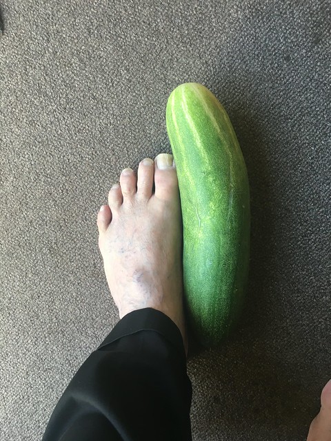 Cucumber by the foot