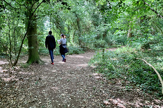 Family walk through the woods