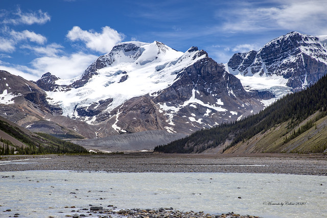 Glacier Mt Athabasca (Explore June 29)!