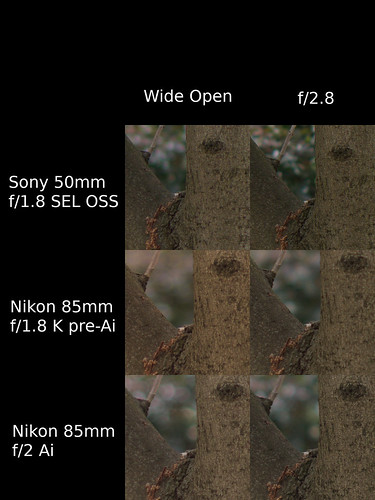 Sony 50mm, Nikkor 85mm Capture Sharpen Comparison