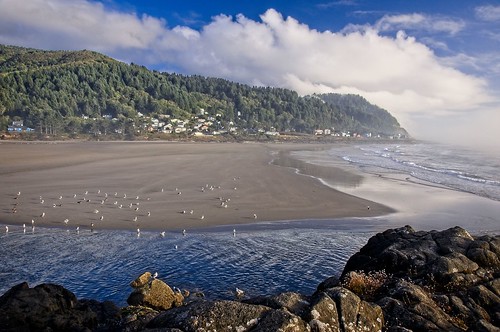 naturelandscape oregon yachats seagulls seascape clouds ocean nikond90 oceanscape rocks beach