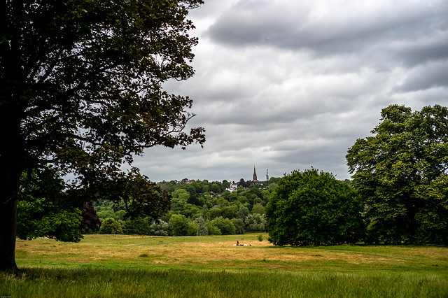 Pictures taken on Hampstead heath whilst walking the dog.