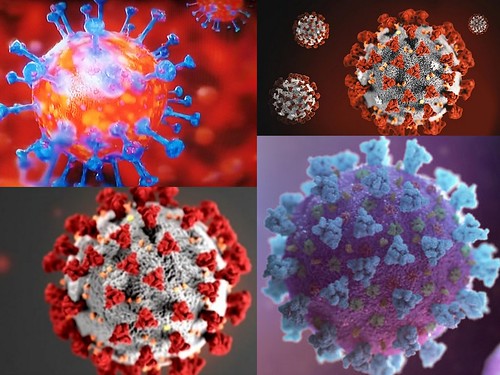 the novel coronavirus SARS-CoV-2