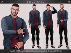 JAMES POSE PACK - BENTO POSES, ANIMATIONS & POSE STAND