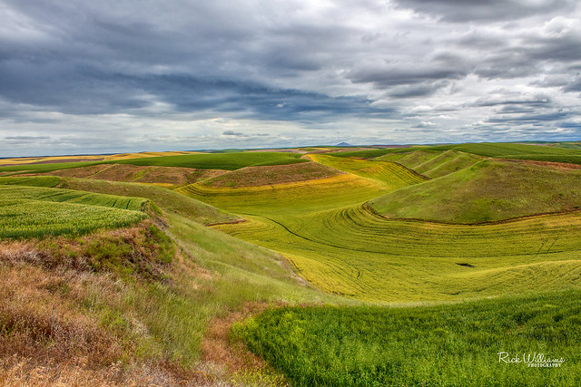 Deep Canyons of The Palouse