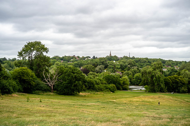Pictures taken on Hampstead heath whilst walking the dog.
