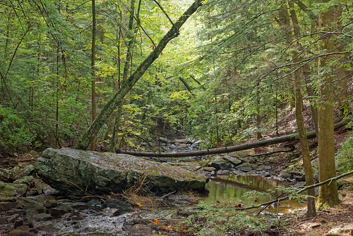 nature hiking landscape tennessee