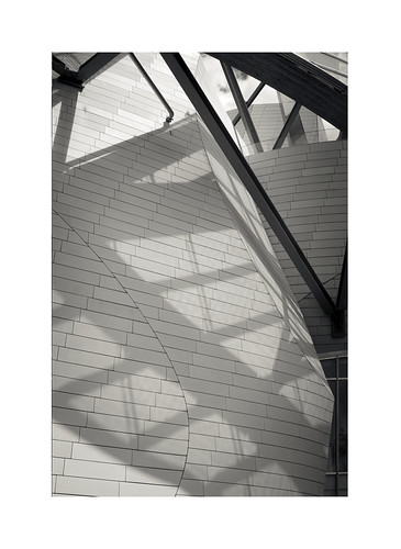 Fondation Louis Vuitton ~ Paris 2020 | Christopher Perez | Flickr