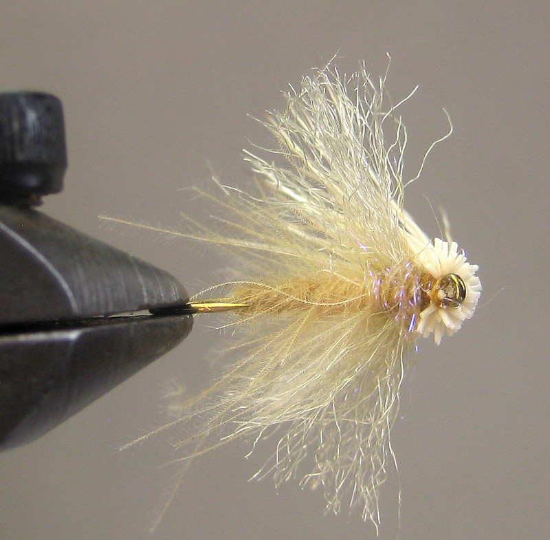 Galloup’s Found Link Spruce Moth | Fly Fishing Forum