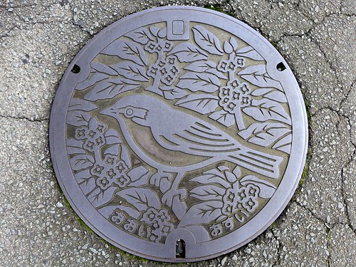 Oi Kanagawa, manhole cover （神奈川県大井町のマンホール）