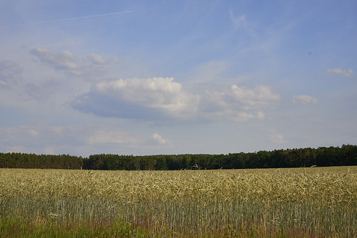 summer sky crops horizontal landscape brandenburg