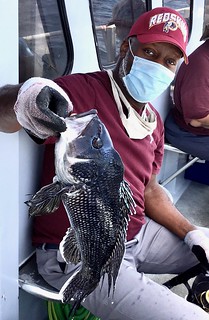 Photo of a man with his catch of a black sea bass