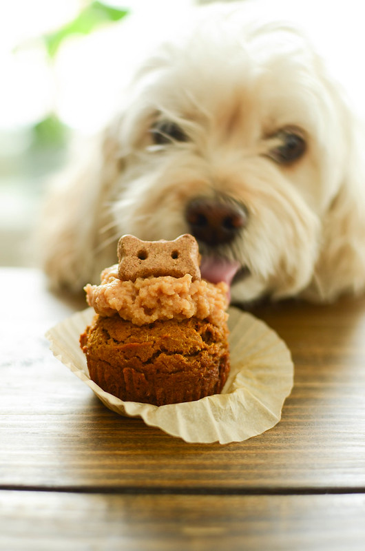 Peanut Butter Pumpkin Pupcakes - homemade dog cupcakes made with peanut butter and pumpkin. How cute are these for a dog birthday party?!