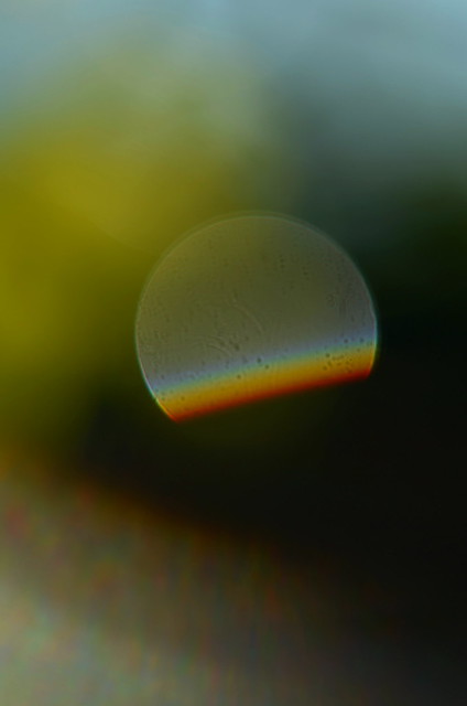 Bokeh with a rainbow.