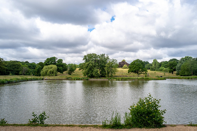 Hampstead heath, the photographs from the 1st of July.