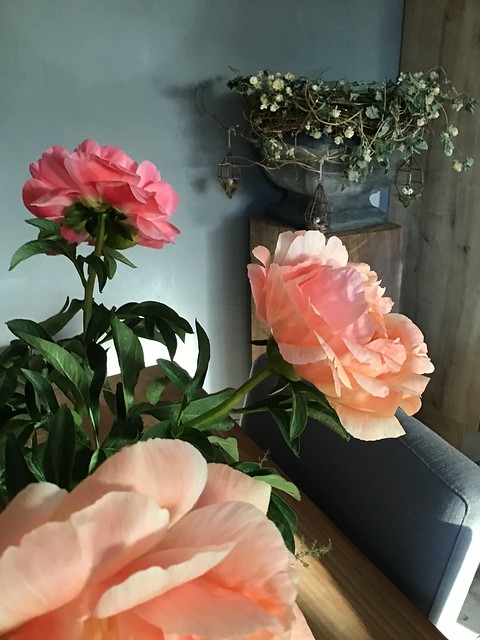 Roze rozen pot op zuil met hangers