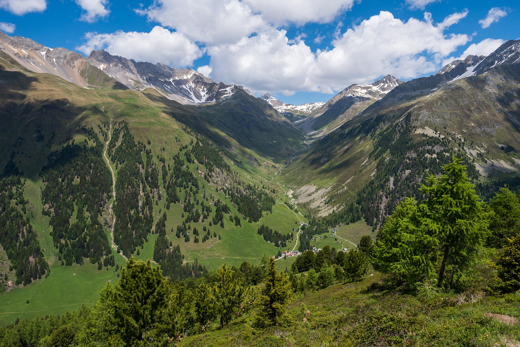 CH ZH Bergfrühling im Albulatal: Panoramaweg Alp Darlux - Chants