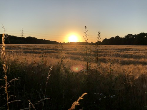 evening abend countryside field feld mengederheide mengede dortmund sunset sonnenuntergang