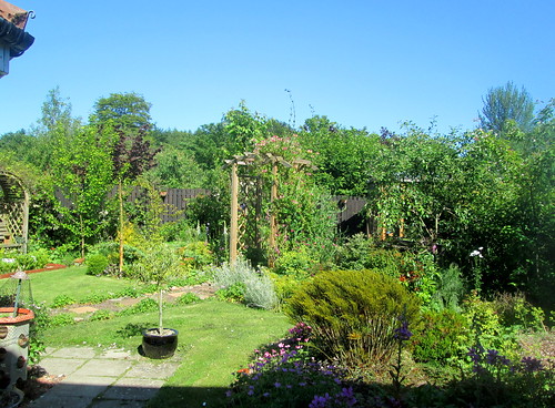 my garden, Fife