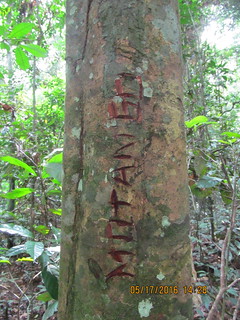 Kitona's "signature" on a tree copy | by teresehart