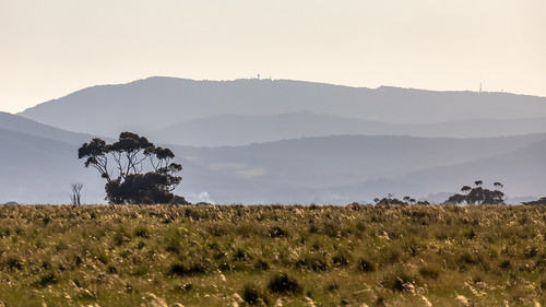 Riddells Creek Layers-1 by Quick Shot Photos, macedonranges mtmacedon dusk sunset tree victoria australia