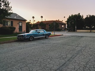 mustang & sunset.