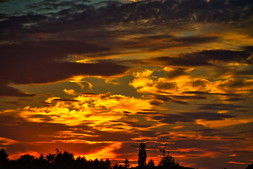 evening sunset sky cloud glow sunsetcolors sunsetfire sundown silhouette tree crane july summer outdoor freilassing berchtesgadenerland bavaria bayern germany deutschland nikond3100