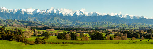 mountain nature valley hill landscape grass field grassland pasture mountainrange snow outdoors grazing tree green farm sky wilderness meadow plateau mountainouslandforms naturallandscape outdoor plant noperson highland hillstation canyon wood alps countryside travel background rural scenic mountscenery lush large scenery ruralarea sheep peak panorama grassy view plain cow wairarapa tararua agriculture