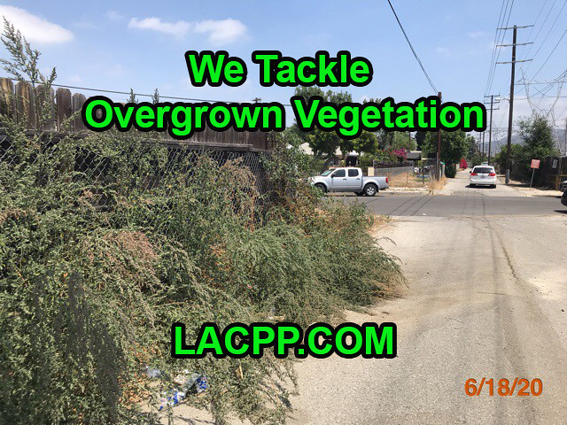 report a problem with overgrown vegetation