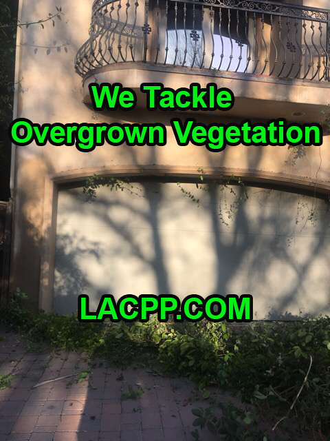 overgrown vegetation ordinance
