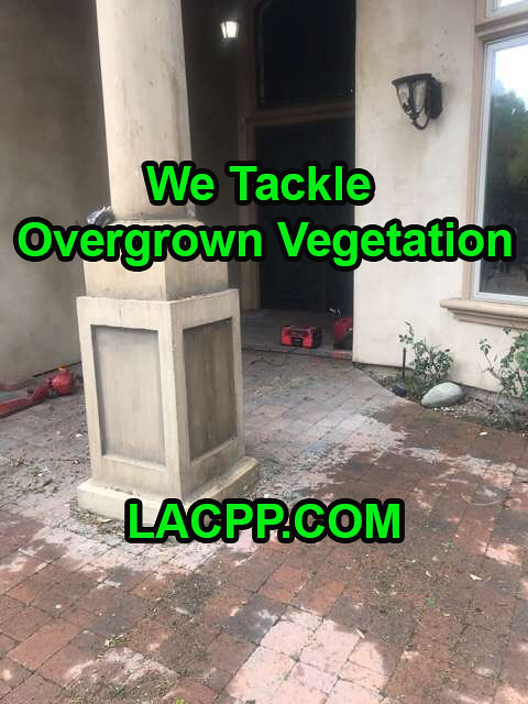 how to clean overgrown vegetation