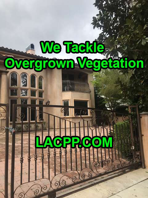 how to clear overgrown vegetation