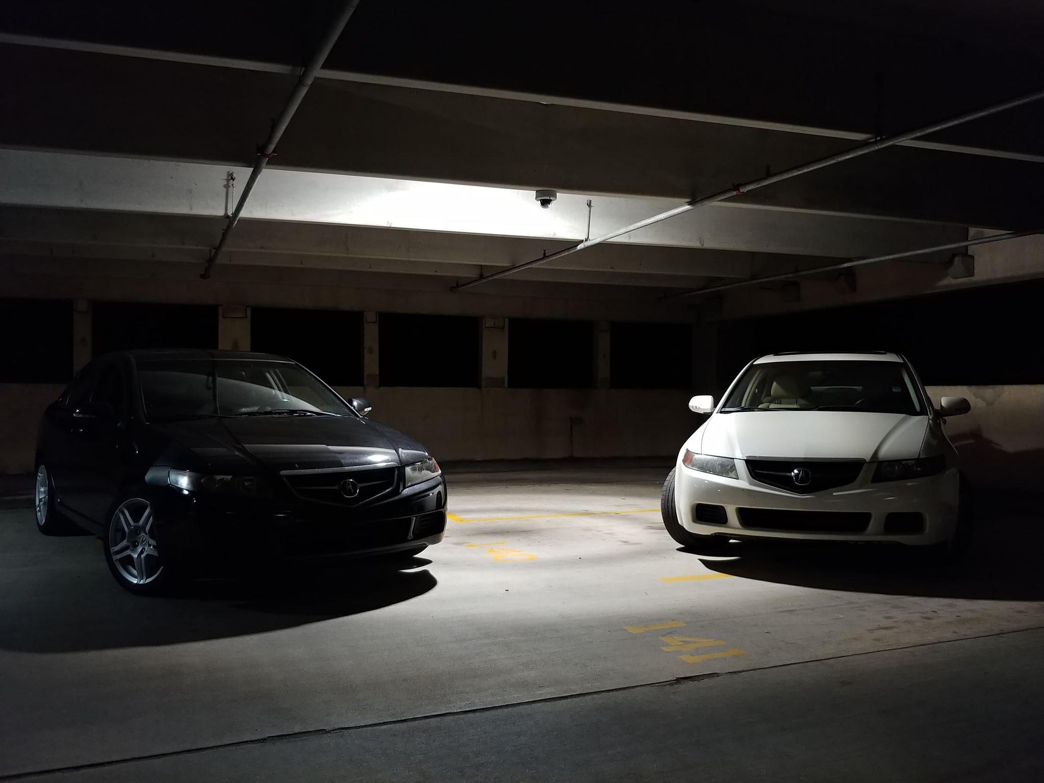 The Temple Of Vtec Honda And Acura Enthusiasts Online Forums Tsx