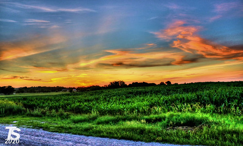 2/4 Summer Sunset over Northern Hardin County, IA 6-27-20 by KansasScanner, Summer Sunset over Northern Hardin County, Iowa near Iowa Falls, Iowa
Picture Taken on 135th Street 
