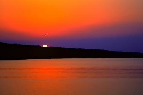 sunset hdr canoneos500d lake silhouette orange black bird romance sun unning colors