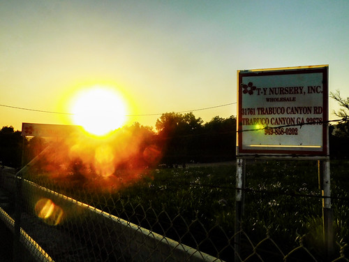trabucocanyon california photo digital summer plantnursery nursery sign sunset fence