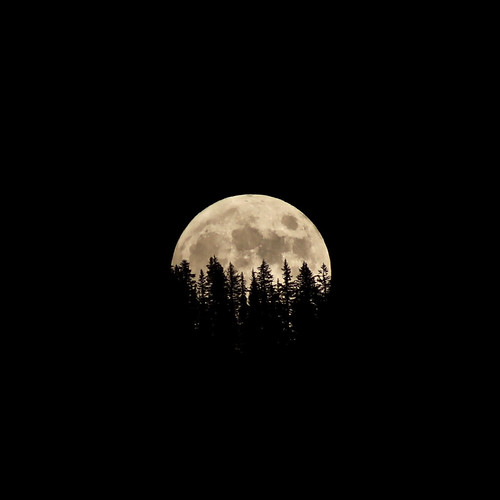 July 4th Moon | by Bill_D